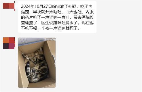 猫咪驱虫不当致死！科学用药至关重要