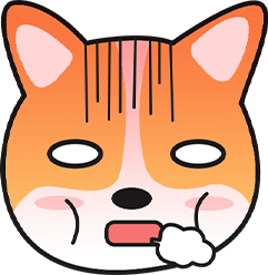 夏季遛狗注意事项及狗狗中暑急救指南