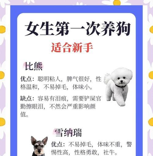 蝴蝶犬眼睛护理指南 预防疾病与日常清洁方法 蝴蝶犬眼睛护理指南 预防疾病与日常清洁方法