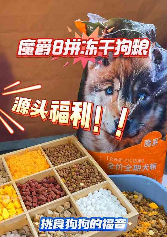 5斤狗狗每日喂食量科学喂养指南 5斤狗狗每日喂食量科学喂养指南