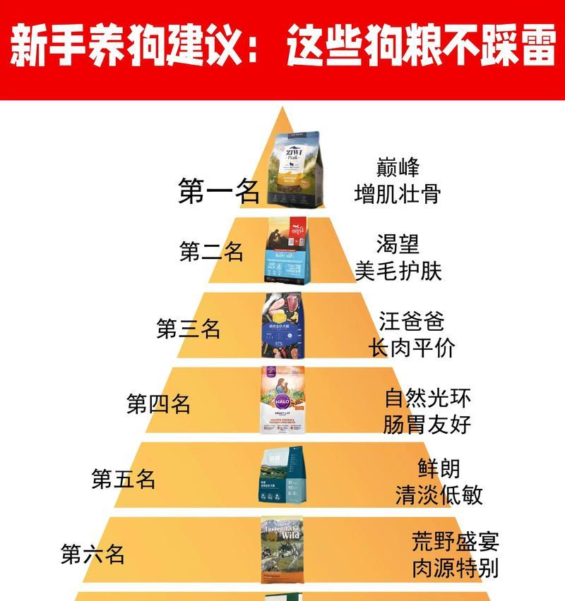 5斤狗狗每日喂食量科学喂养指南 5斤狗狗每日喂食量科学喂养指南