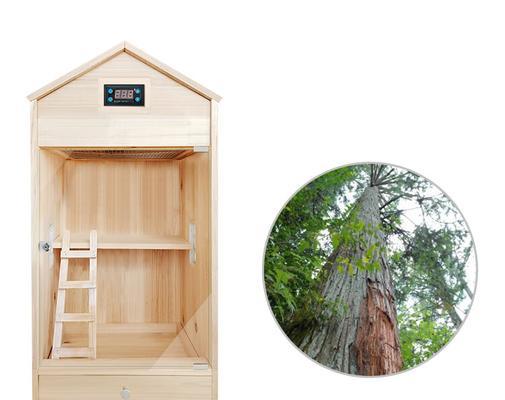 巨泡灰鼠饲养全攻略:从选购到健康长寿 巨泡灰鼠饲养全攻略:从选购到健康长寿