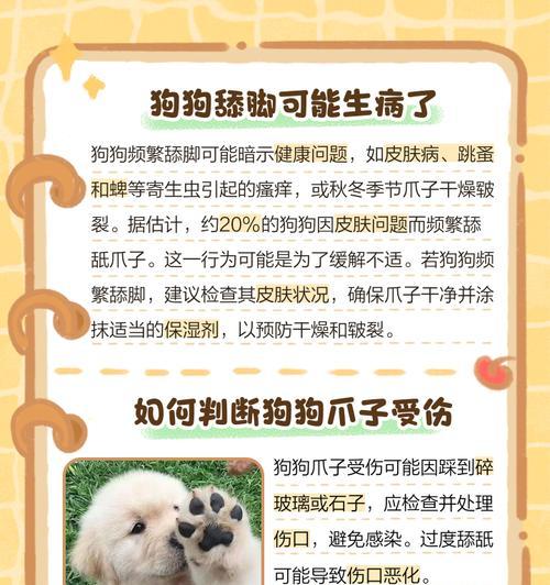 狗狗频繁抓痒的15个常见原因 狗狗频繁抓痒的15个常见原因