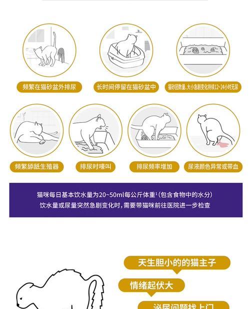 猫咪日常活动体力消耗解析,如何科学养护 猫咪日常活动体力消耗解析,如何科学养护