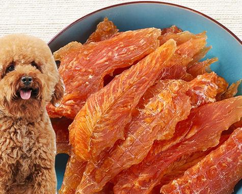 五斤泰迪犬每日饮食建议与喂养指南