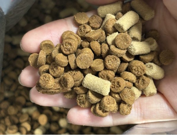 高蛋白低淀粉烘焙猫粮测评：兔肉配方对猫咪肠胃友好吗？