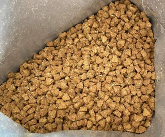 高肉无谷烘焙猫粮测评：长肉发腮与肠胃友好之选