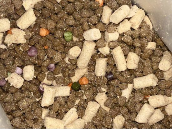 单一肉源无谷猫粮测评：低敏配方适口性如何？