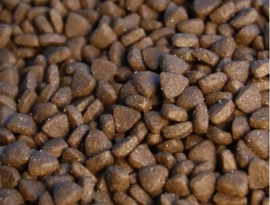 草莓鸡猫粮适合长肉发腮吗？性价比如何？