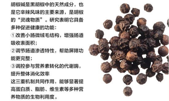 烘焙猫粮低敏配方测评:肠胃友好与美毛效果如何 烘焙猫粮低敏配方测评:肠胃友好与美毛效果如何