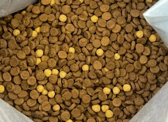 烘焙猫粮低敏配方测评:肠胃友好与美毛效果如何 烘焙猫粮低敏配方测评:肠胃友好与美毛效果如何