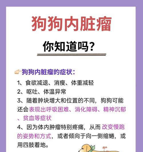 狗子宫癌早期信号识别，守护爱宠健康