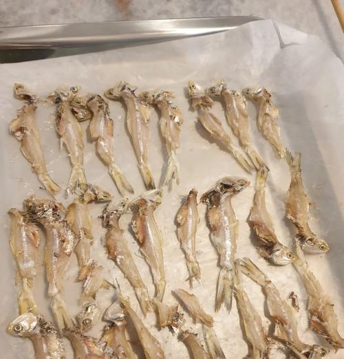 小狗补钙食物推荐，15种营养选择促进健康成长