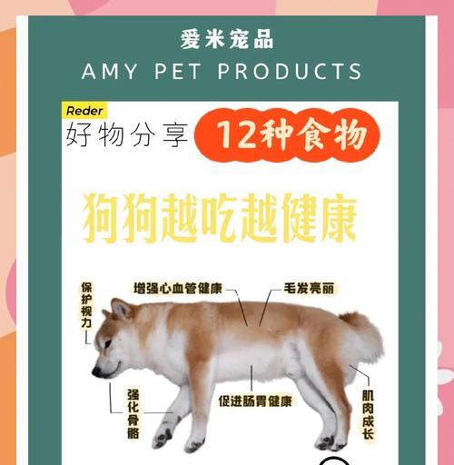 小狗补钙食物推荐，15种营养选择促进健康成长