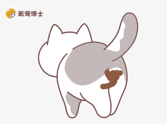 猫咪屁股粘粑粑原因及清理方法指南