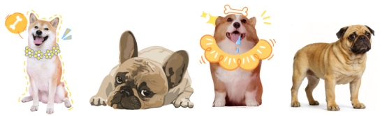 热门狗狗品种优缺点合集 宠物伴侣怎么选