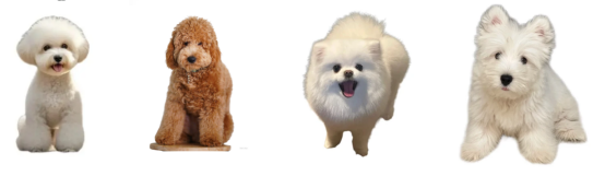 热门狗狗品种优缺点合集 宠物伴侣怎么选