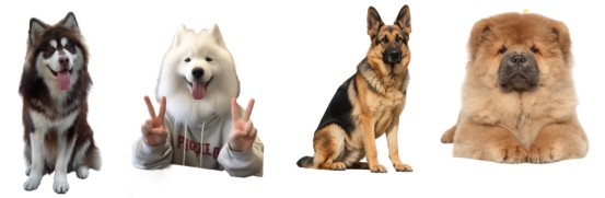 热门狗狗品种优缺点合集 宠物伴侣怎么选