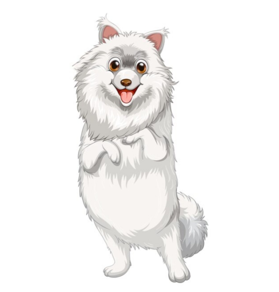 萨摩耶饲养全解析：优点缺点与健康注意事项