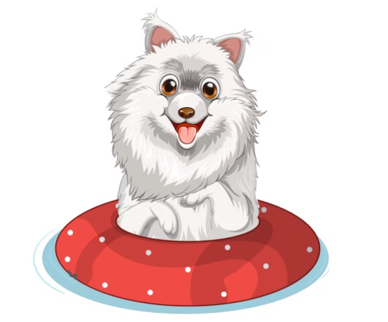 萨摩耶饲养全解析：优点缺点与健康注意事项