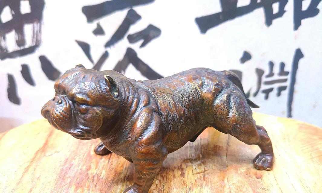 沙皮犬的魅力特质与科学养护指南