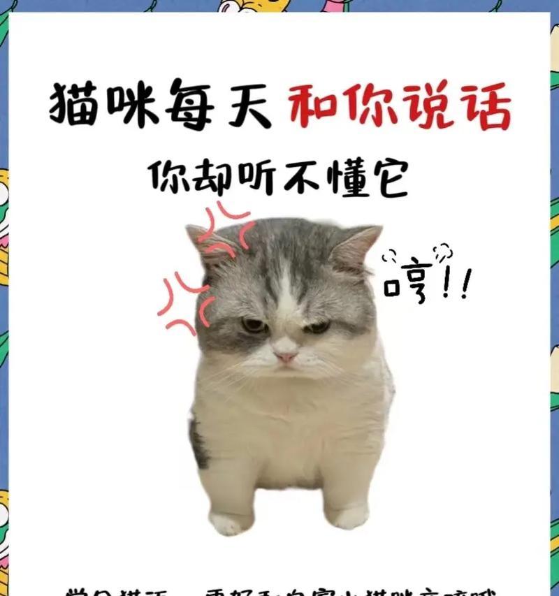 幼猫与人共眠的重要性：促进健康成长与情感联结