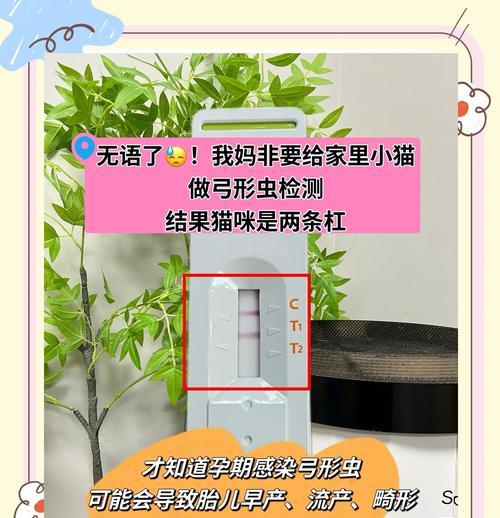 猫咪弓形虫病治疗全攻略:科学护理与药物使用 猫咪弓形虫病治疗全攻略:科学护理与药物使用