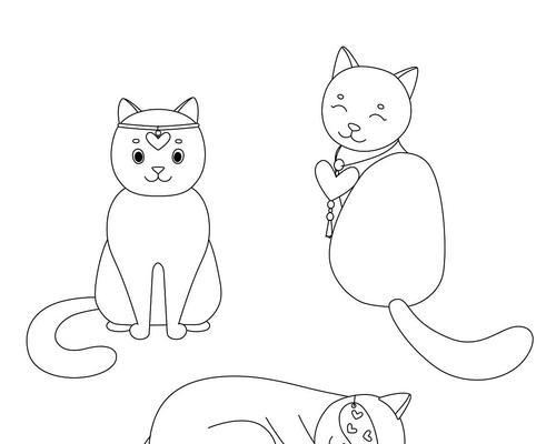 如何让小猫放松警惕?创造安全舒适环境的方法 如何让小猫放松警惕?创造安全舒适环境的方法