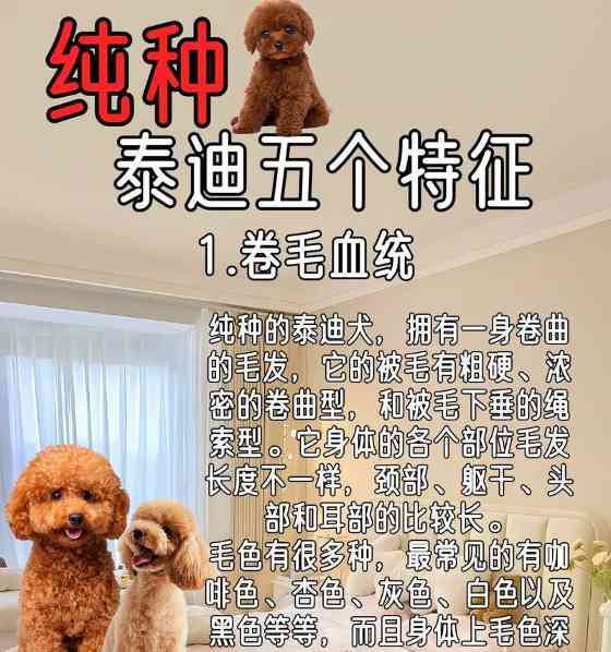 如何判断狗狗是否生病？观察这些关键信号