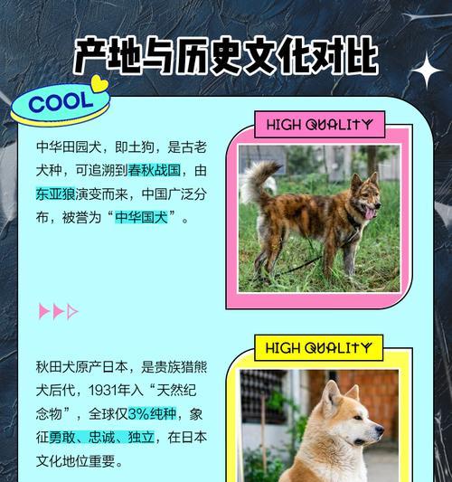 狗的祖先究竟是豺还是狼?科学揭秘犬类起源真相 狗的祖先究竟是豺还是狼?科学揭秘犬类起源真相