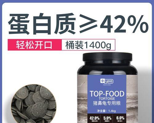 养猪鼻龟水质管理技巧：健康养殖必备知识