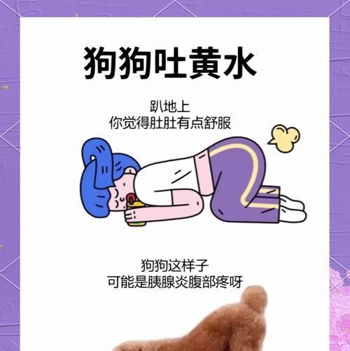 泰迪眼泪擦拭技巧：保持眼部健康与清洁