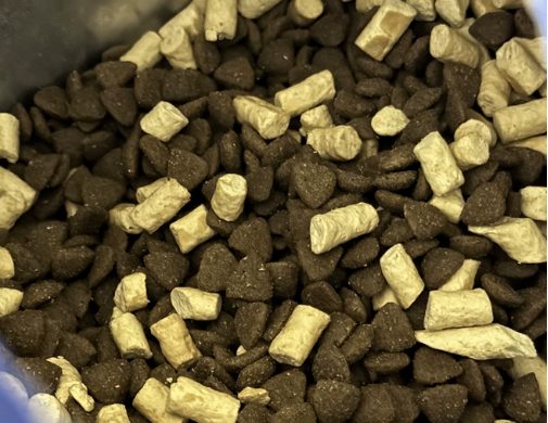 海洋之星冻干双拼狗粮怎么样？营养分析与适口性评价