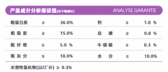 老年猫粮选购指南与嘉传E99猫粮深度测评