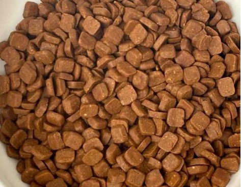 老年猫粮选购指南与嘉传E99猫粮深度测评