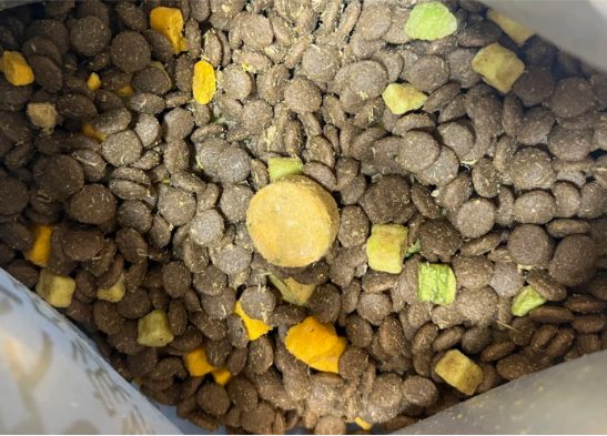 缤纷果蔬狗粮优缺点分析：性价比高但有营养局限