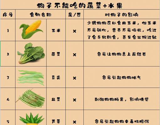 阿比西尼亚猫安全食用水果指南与喂养建议