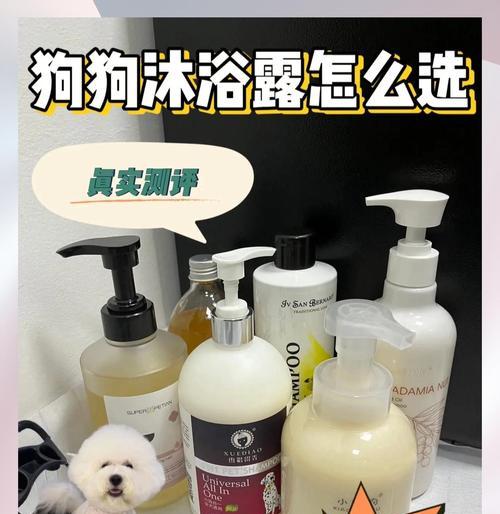 比熊宝宝三个月后洗澡时机及注意事项全指南 比熊宝宝三个月后洗澡时机及注意事项全指南