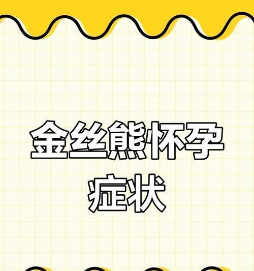母仓鼠怀孕症状周期护理及注意事项解析