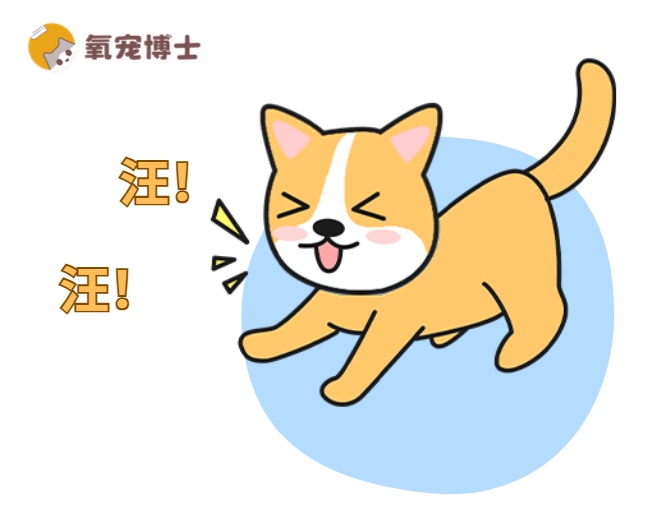 狗狗突然爱叫原因分析及应对措施全解析