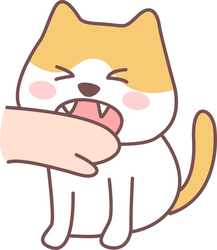 猫抓热感染症状与预防指南 猫抓热感染症状与预防指南