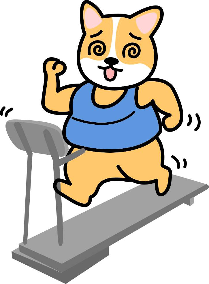 狗狗软骨素补充指南：哪些狗狗需要以及如何挑选