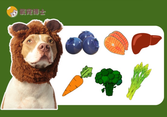 保护狗狗眼部健康食物指南,预防白内障青光眼 保护狗狗眼部健康食物指南,预防白内障青光眼