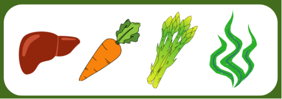 保护狗狗眼部健康食物指南,预防白内障青光眼 保护狗狗眼部健康食物指南,预防白内障青光眼