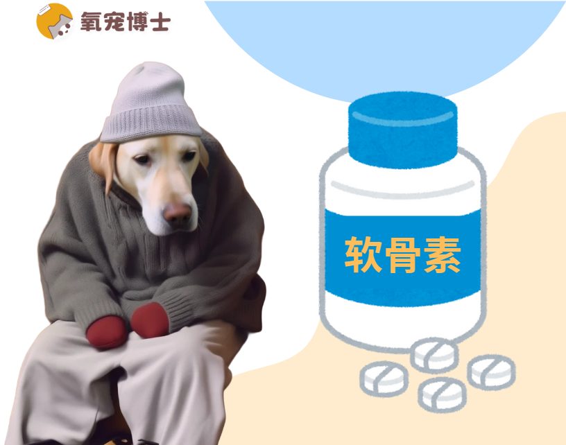 狗狗软骨素补充指南：哪些狗狗需要以及如何挑选