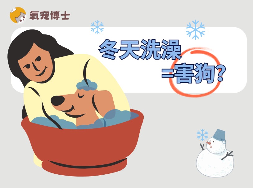 冬季狗狗正确洗澡方法指南 冬季狗狗正确洗澡方法指南