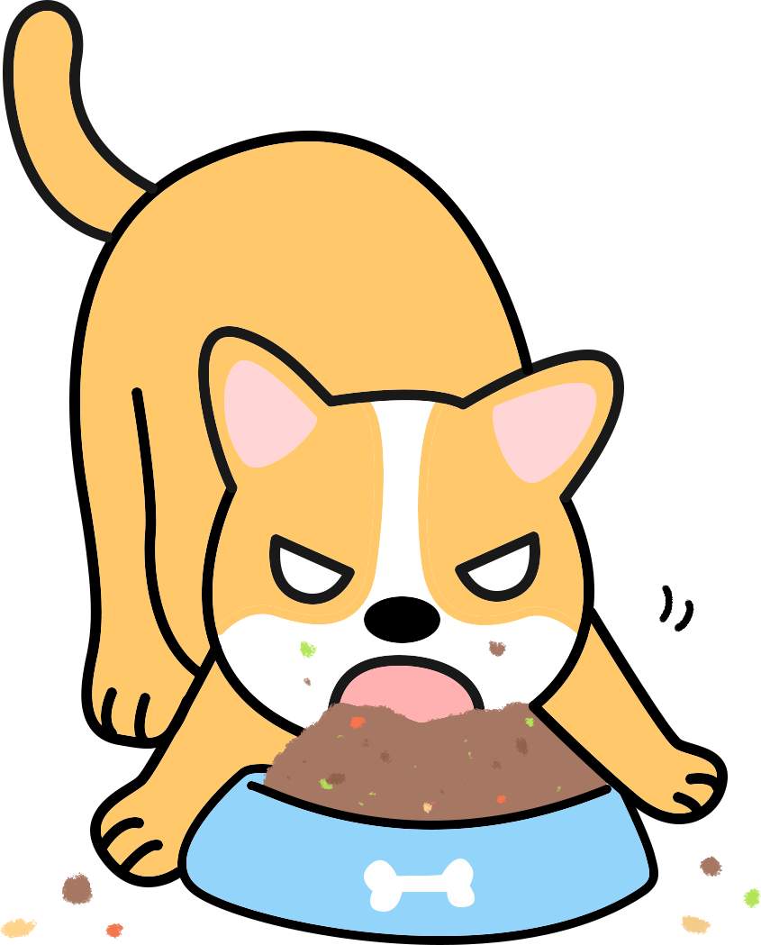 老年犬粮挑选指南:如何为老狗选择营养均衡食物 老年犬粮挑选指南:如何为老狗选择营养均衡食物