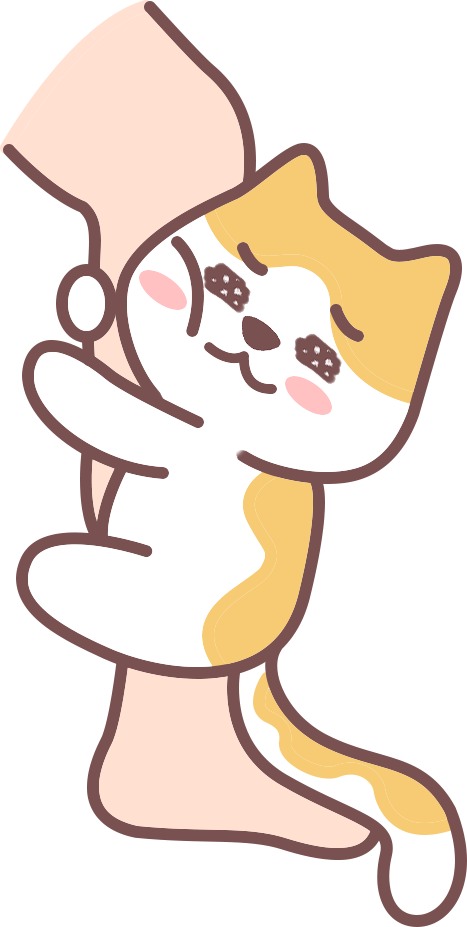 猫咪养得好的八大特征，健康快乐日常表现指南