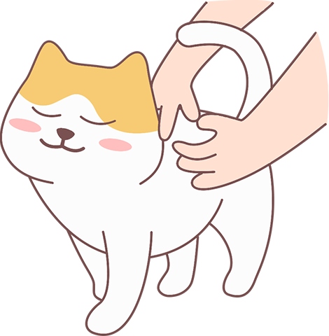 猫咪蒜瓣毛是什么?区分毛发分层与脏污的方法 猫咪蒜瓣毛是什么?区分毛发分层与脏污的方法