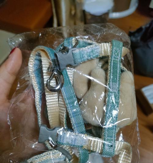 自制溜猫绳方法教程：安全舒适外出体验指南